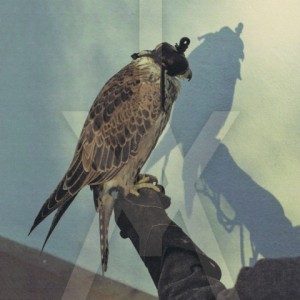 Iceage